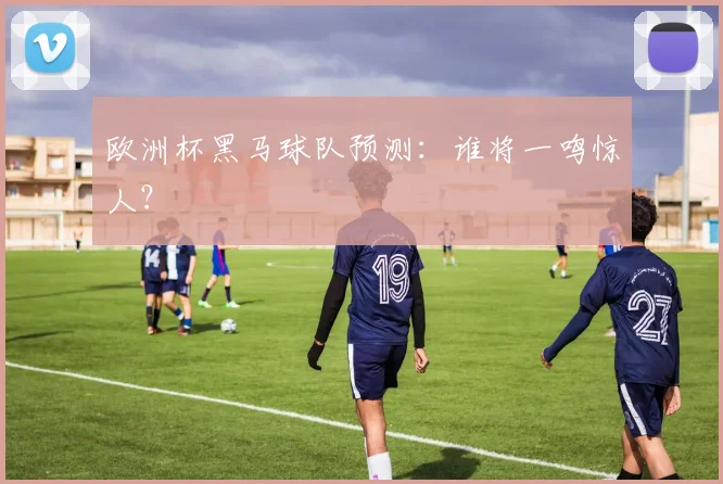 欧洲杯黑马球队预测:谁将一鸣惊人?