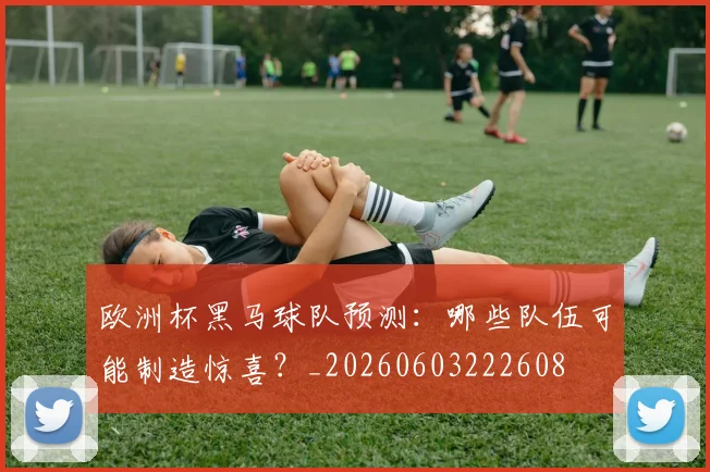 欧洲杯黑马球队预测:哪些队伍可能制造惊喜?_20260603222608