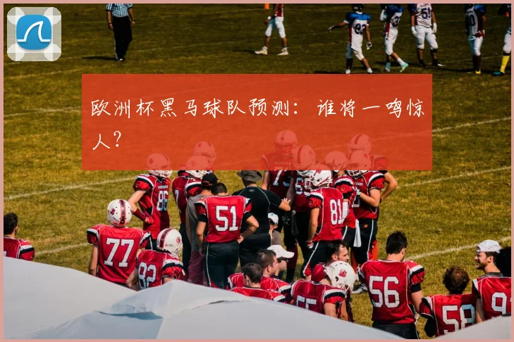 欧洲杯黑马球队预测:谁将一鸣惊人?